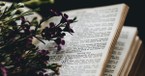 Praying through the Most Beloved Psalms in the Bible