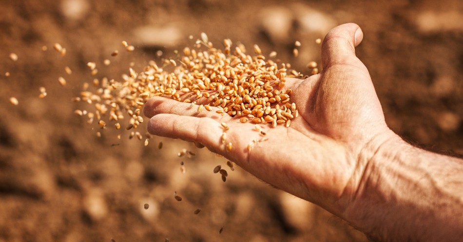 Are Karma and 'Reap What You Sow' the Same Thing?