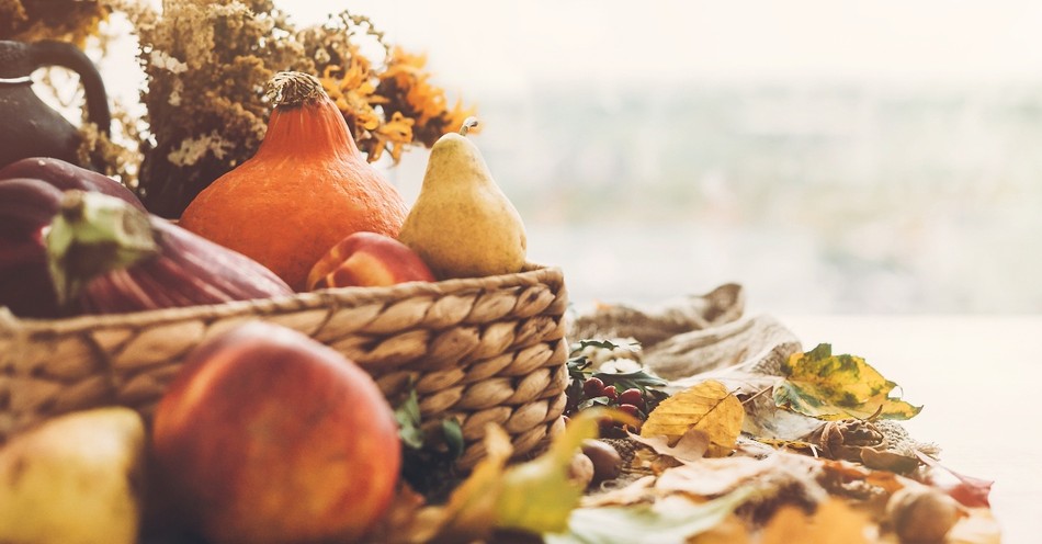 What Happened on the First Thanksgiving?