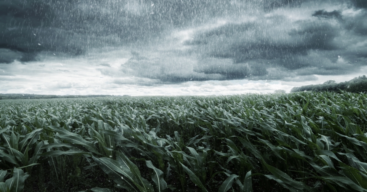 cloudy field, storm