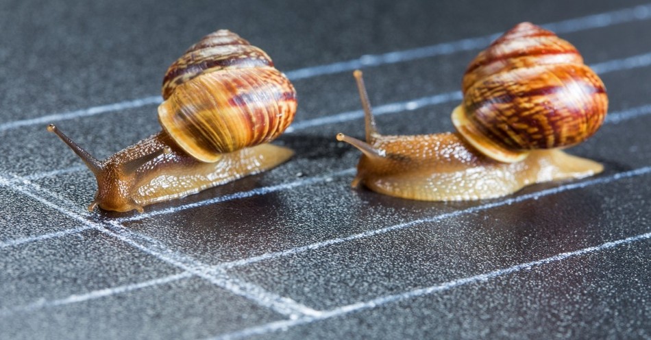 5 Truths for 'Underachievers'