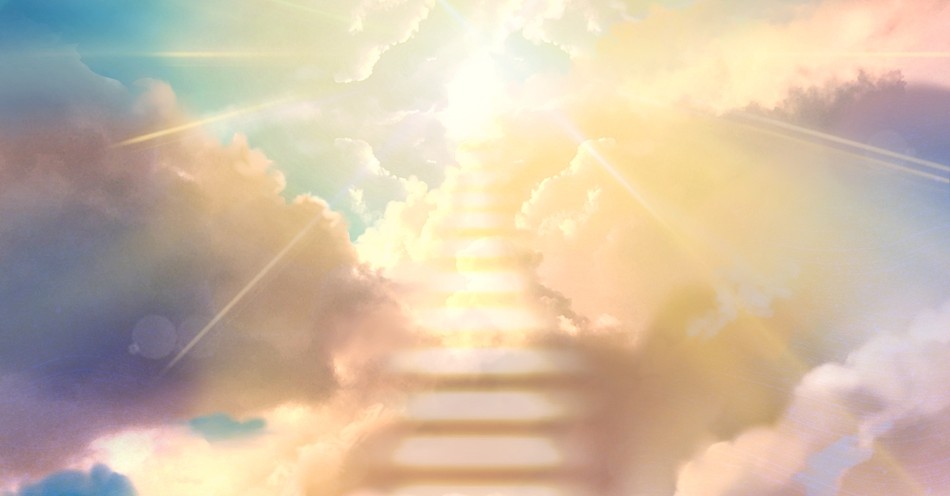 What Will We Do and See in Heaven?