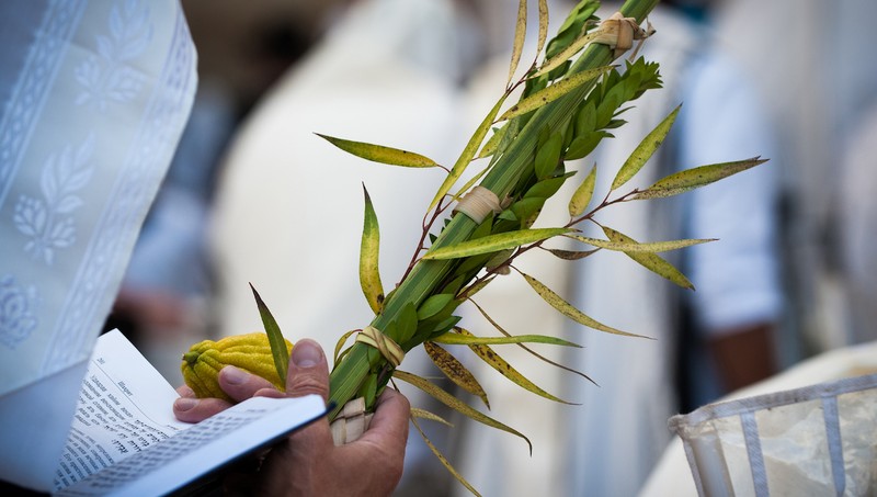 palm sunday church service observances