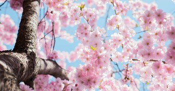 7 Prayers for New Beginnings - Asking God for Courage, Wisdom, and Renewal