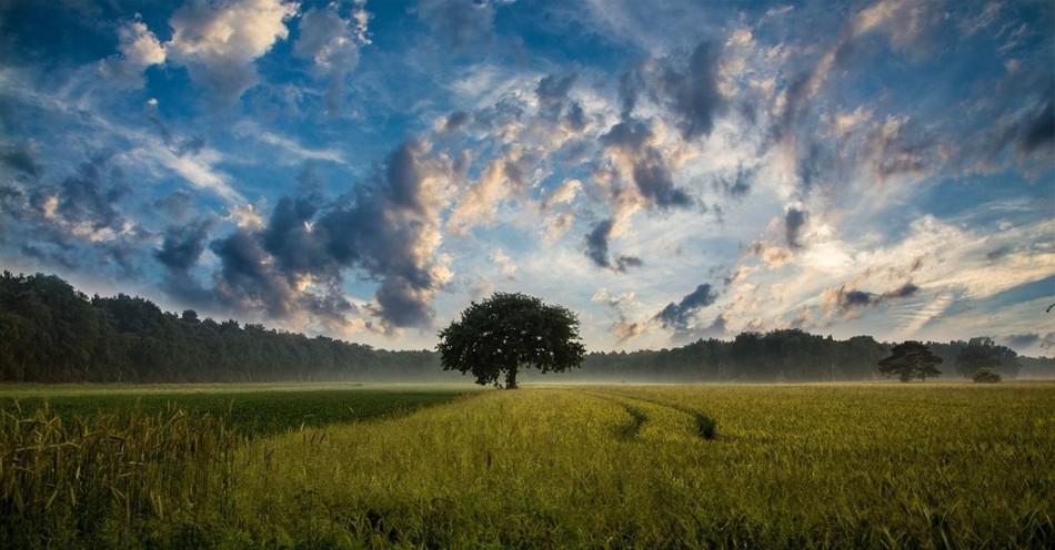 What Is the Firmament in the Bible? (Genesis 1 Meaning)