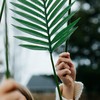 8 Old Testament Prophecies Fulfilled Easter Week