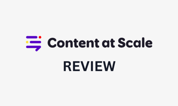 Scale Review의 콘텐츠.
